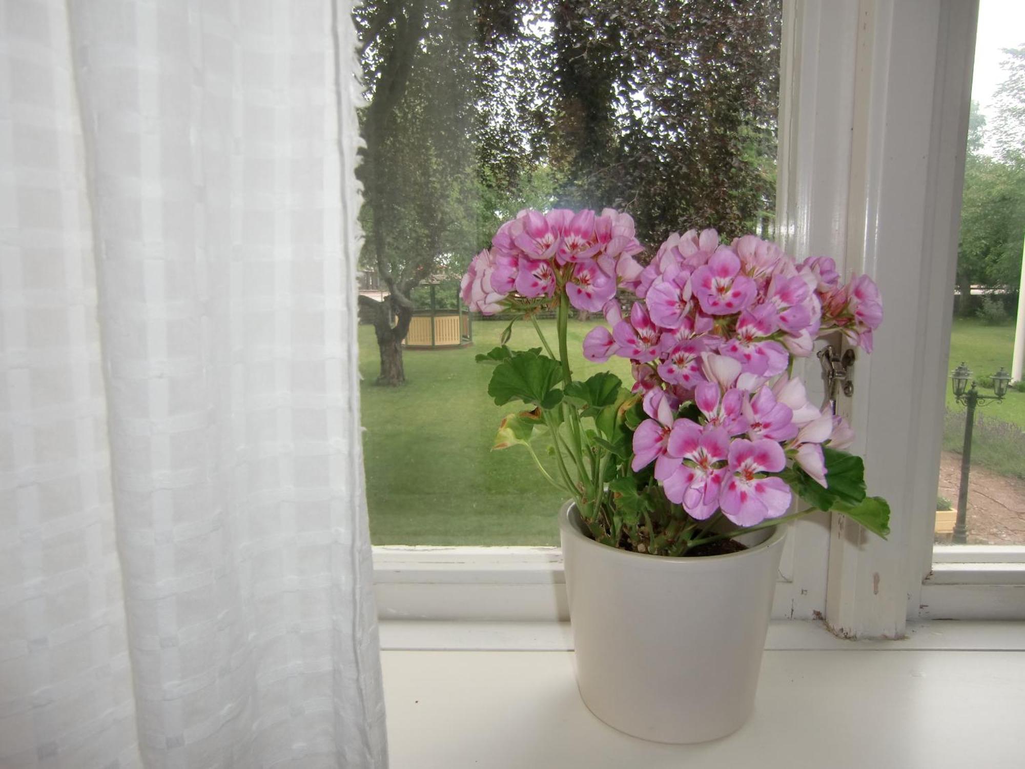 Hagaborg Bed & Breakfast Köpingsvik Buitenkant foto