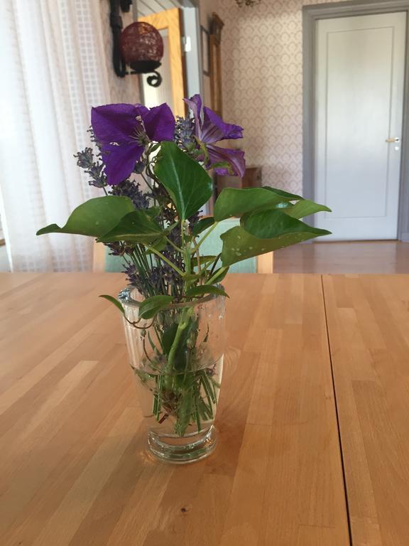 Hagaborg Bed & Breakfast Köpingsvik Buitenkant foto